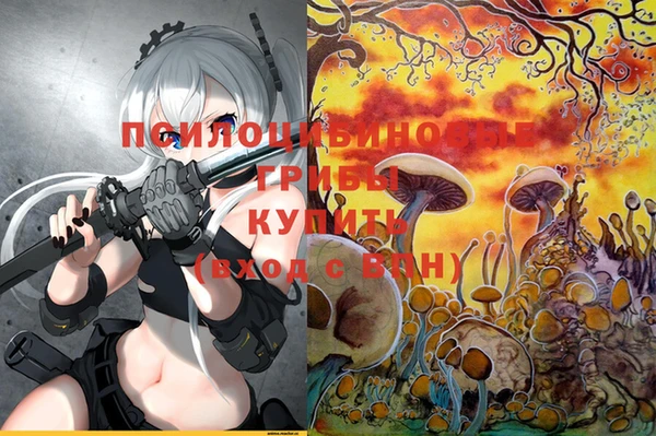 кокаин Алексеевка