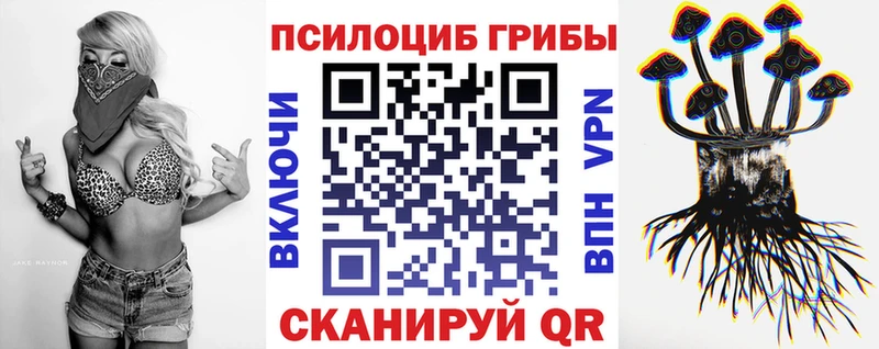 Псилоцибиновые грибы MAGIC MUSHROOMS  ссылка на мегу ТОР  Юрьевец 